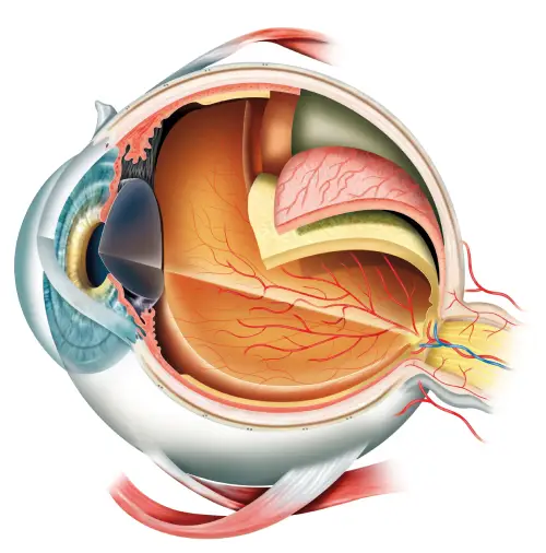 akhalimzera eye